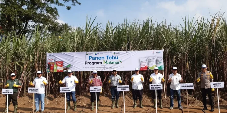 lahan tebu di kabupaten malang