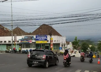 E-tle kota batu