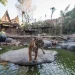 harimau di jatim park 2
