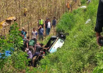 Pick Up L-300 Terjun ke Jurang di Pujon