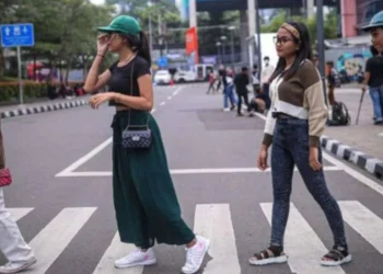 Fashion