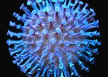 virus baru Covid-19