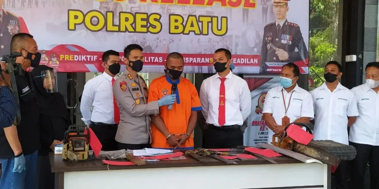 pembalakan liar
