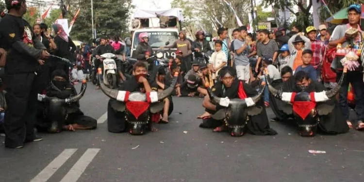 jalan di kota batu ditutup untuk bantengan