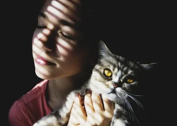 pelihara kucing