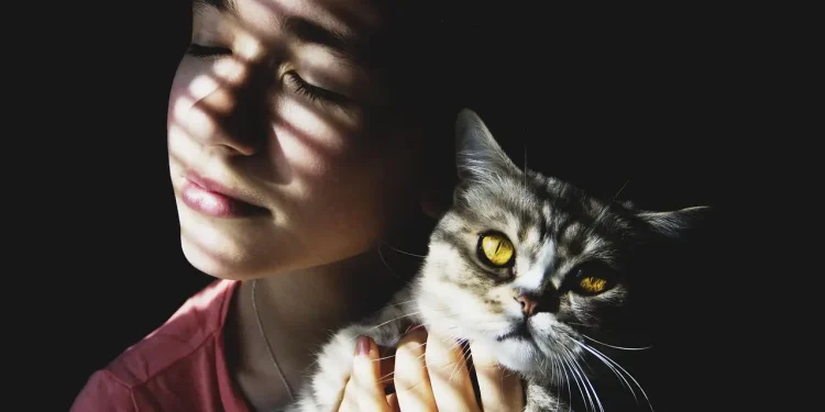 pelihara kucing