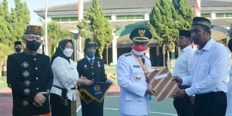 napi