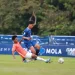 arema fc