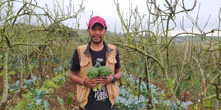 suhermawan