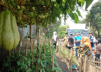 pisang candi