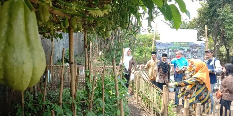 pisang candi