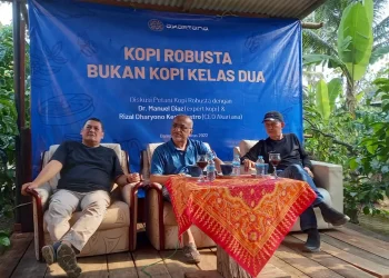 kopi robusta
