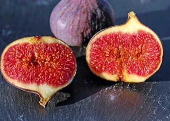 buah Tin
