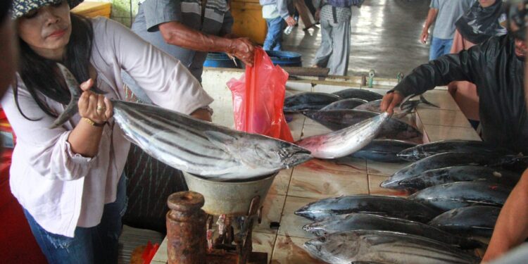 Foto: Tempat Pelelangan Ikan Sendang Biru