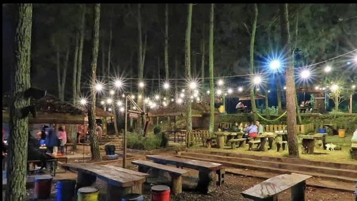 Cafe Taman Pinus.