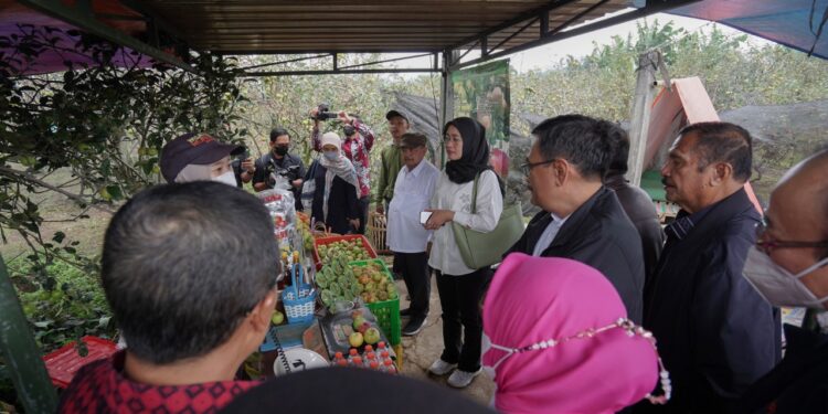 Ketua Komisi IV DPR RI, Anggia Erma Rini didampingi Wakil Wali Kota Batu Punjul Santoso mengunjungi sentra lahan penghasil apel di Desa Tulungrejo, Kota Batu, Kamis (15/9/2022). foto Diskominfo Kota Batu.