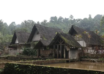 Desa Adat Kampung Naga, Tasikmalaya