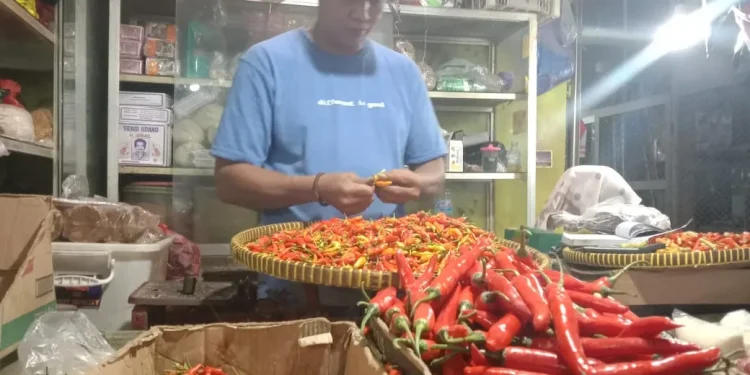 harga cabai naik
