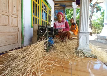 tusuk sate