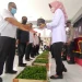 bagi bagi bibit cabai dampak kenaikan BBM