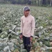 Petani keluhkan harga Pupuk dan BBM