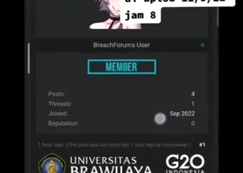 hacker