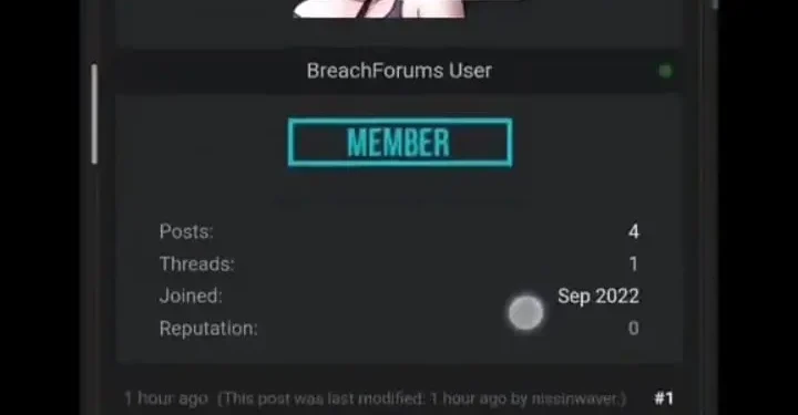hacker