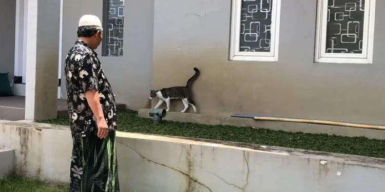 Pakar hewan UB terkait pengendalian kucing di Kota Malang