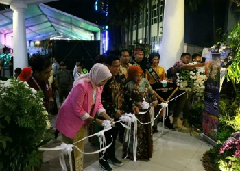 anggrek,batu international orchid show,anggrek jenis baru,anggrek hasil silangan - Ada Anggrek Jenis Baru Hasil Silangan di Batu International Orchid Show 2022