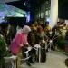 anggrek,batu international orchid show,anggrek jenis baru,anggrek hasil silangan - Ada Anggrek Jenis Baru Hasil Silangan di Batu International Orchid Show 2022
