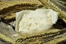 tepung barley