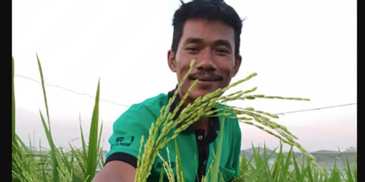 wahyudi