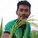 wahyudi