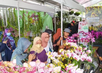 Salah satu penjualan anggrek di Kota Batu.
