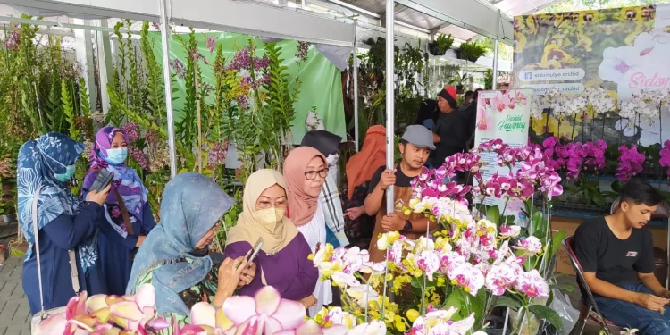 Salah satu penjualan anggrek di Kota Batu.