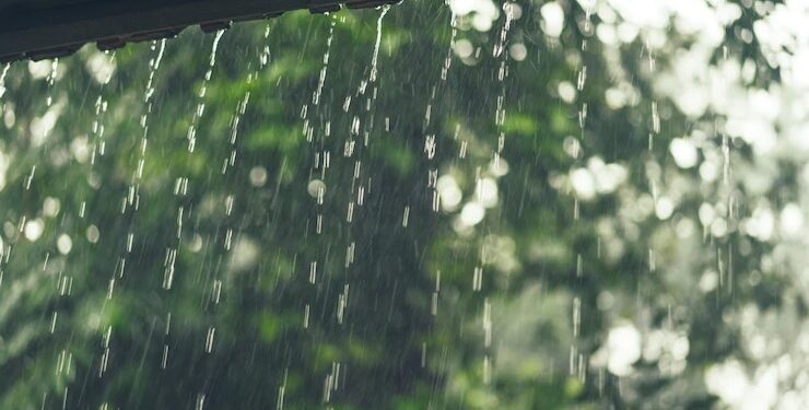 Ilustrasi musim hujan.