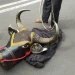 Banteng sebagai lakon utama Bantengan.