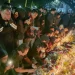 Ribuan Aremania tumpah ruah menggelar tabur bunga dan doa bersama untuk korban gragedi Kanjuruhan di depan Balai Kota Malang.