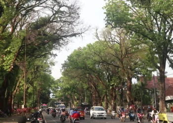 Pemkot malang tambah lampu penerangan jalan