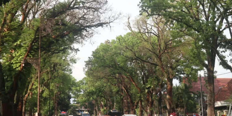 Pemkot malang tambah lampu penerangan jalan