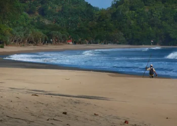 pantai bajul mati - Sepenggal Kisah Tentang Pantai Bajul Mati dan Ibu Kota Penyu