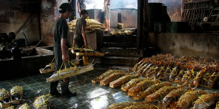 Proses produksi Pemindangan ikan di Sendangbiru