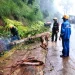 Hujan disertai angin kencang tumbangkan Pohon di Songgoriti