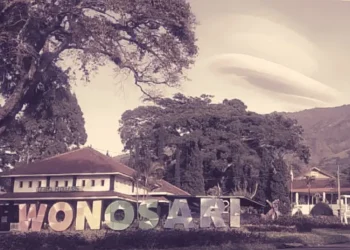 Kebun Teh Wonosari Lawang