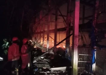 Petugas PMK melakukan pemadaman di peternakan ayam.