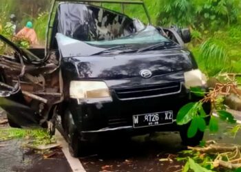 Mobil yang tertimpa pohon tumbang saat melintas di jalan Malang-Kediri, Ngantang, Kabupaten Malang.