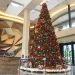 Pohon Natal setinggi 7,5 meter di Grand Mercure Malang Mirama.