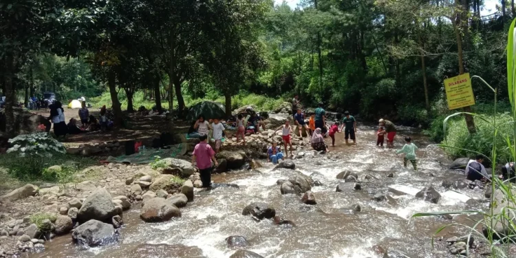 Bumi Perkemahan Bedengan Malang