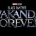 Poster Black Panther: Wakanda Forever yang akan segera rilis 11 November 2022.