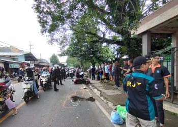 Petugas melakukan olah TKP dalam kecelakaan yang menewaskan pengendara di Kota Malang.